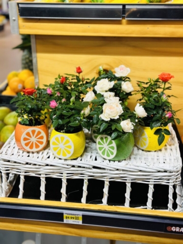 Sol Foods Produce Selection - Seasonal Flowers